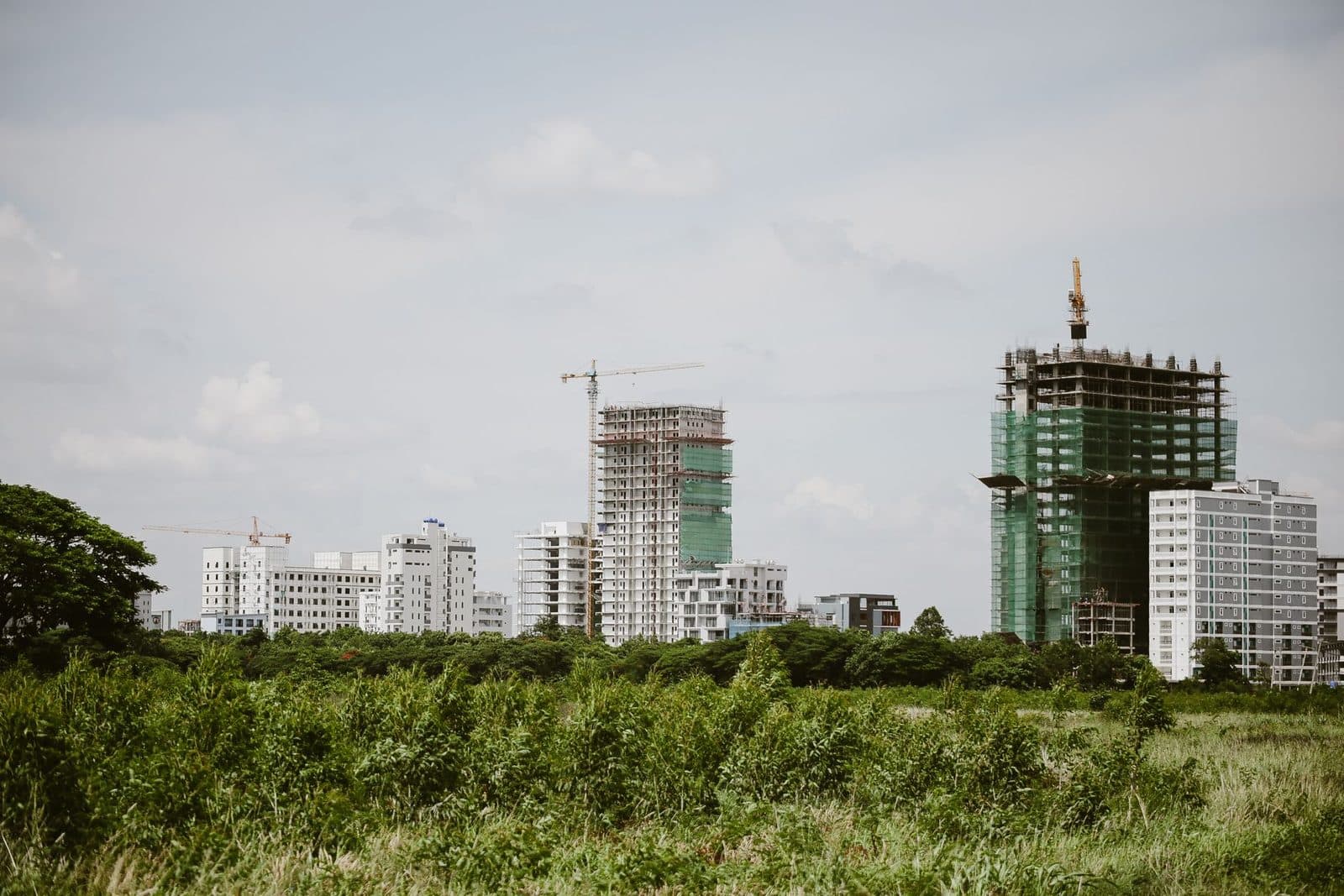 Immeubles en construction avec grues et échafaudages en périphérie urbaine, végétation au premier plan