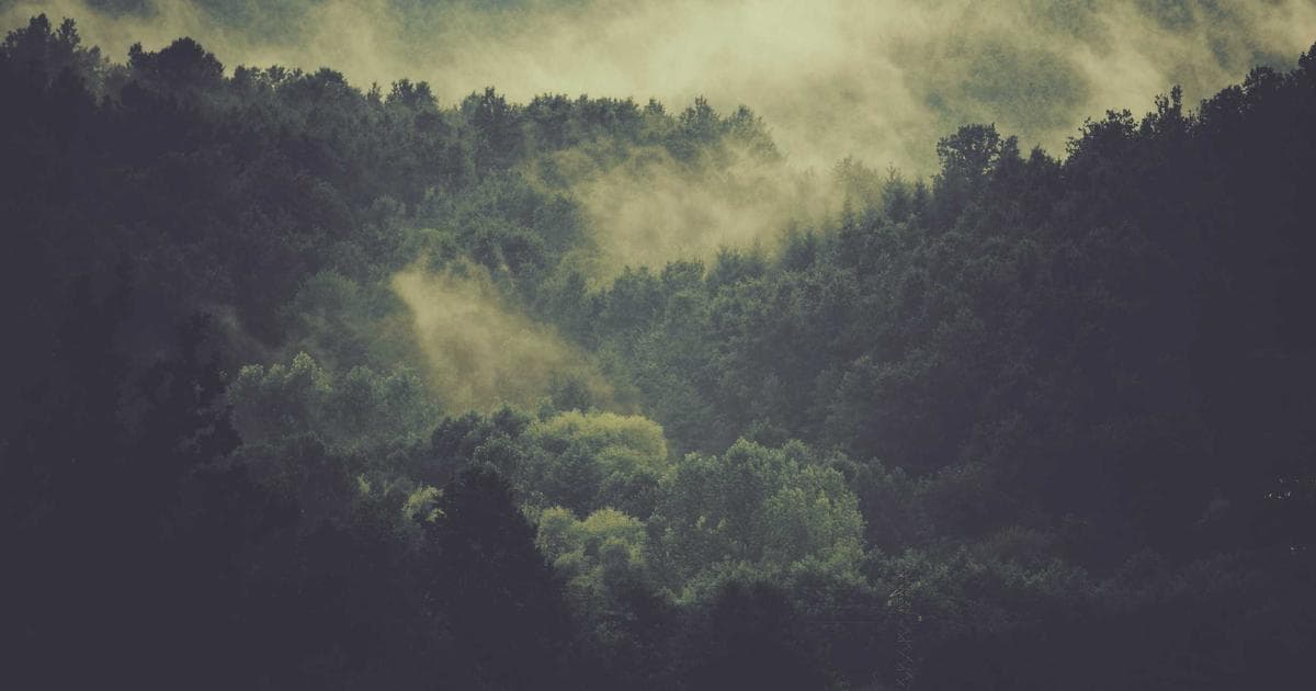 Extension de maison : prix, réglementation et étapes du projet