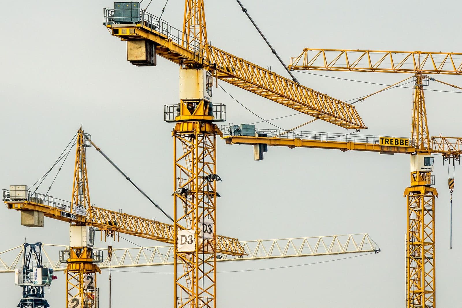 Plusieurs grues à tour jaunes se dressant côte à côte sur un chantier de construction, sous un ciel gris