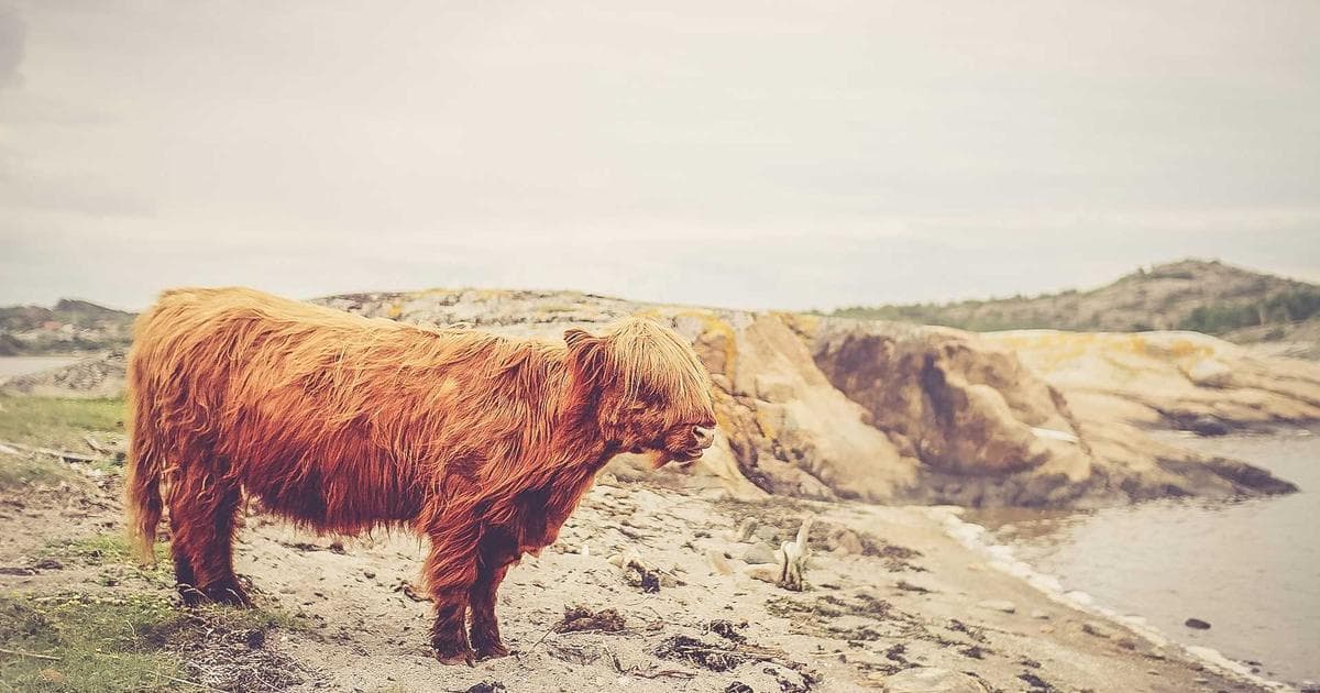 MaPrimeRénov' 2026 : guide des aides à la rénovation énergétique