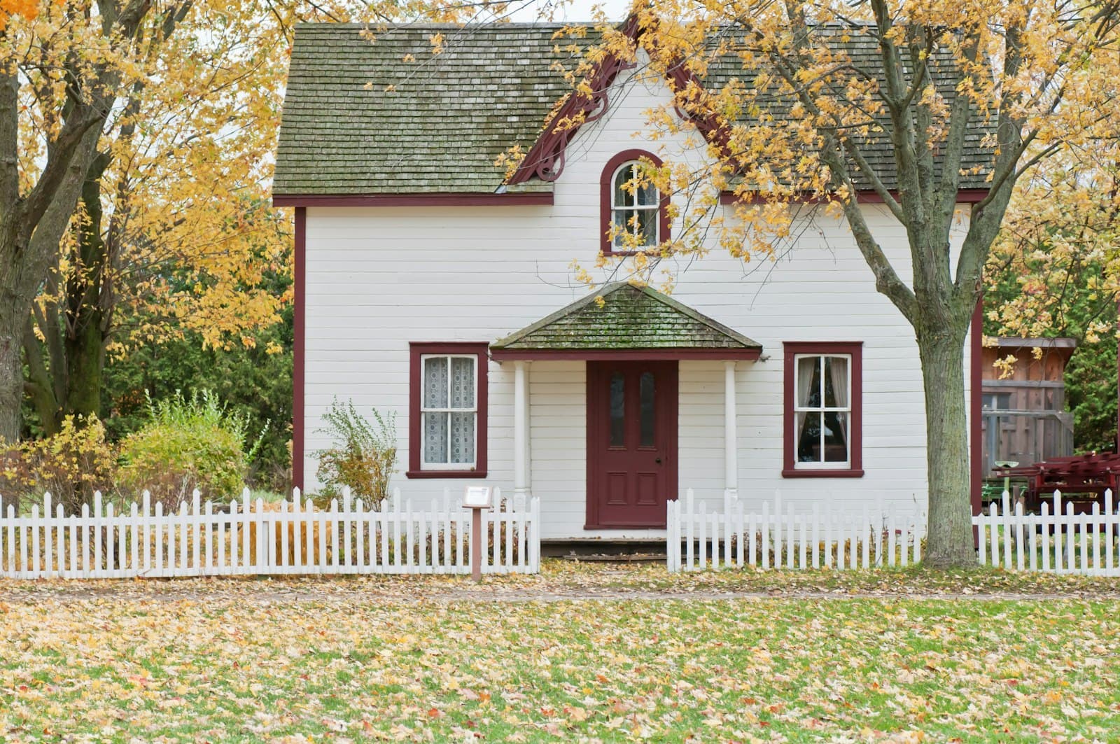 Studio de jardin habitable en bois avec grande baie vitrée donnant sur un jardin paysager