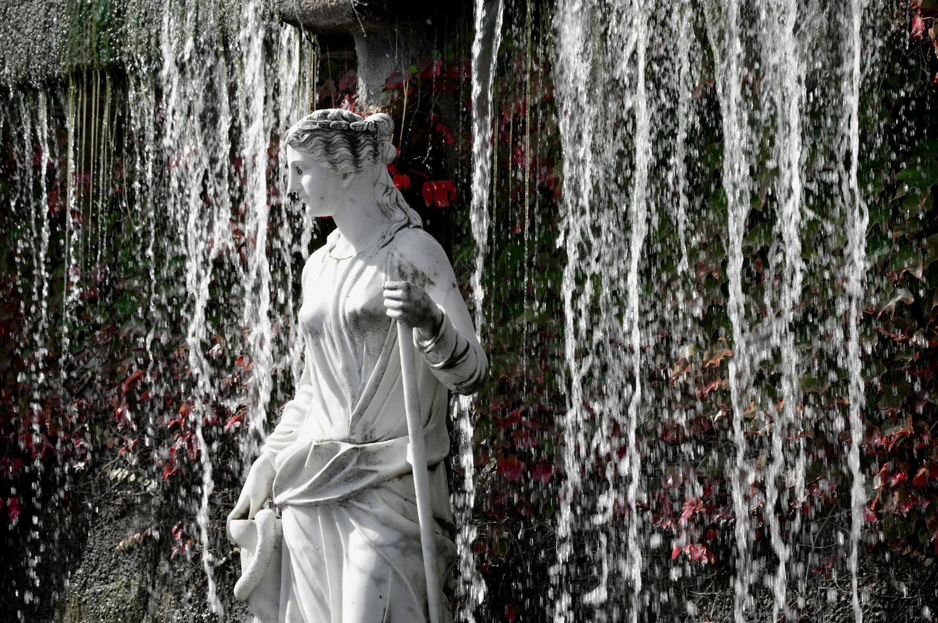 Fenêtres — BTPNE Champigny-sur-Marne