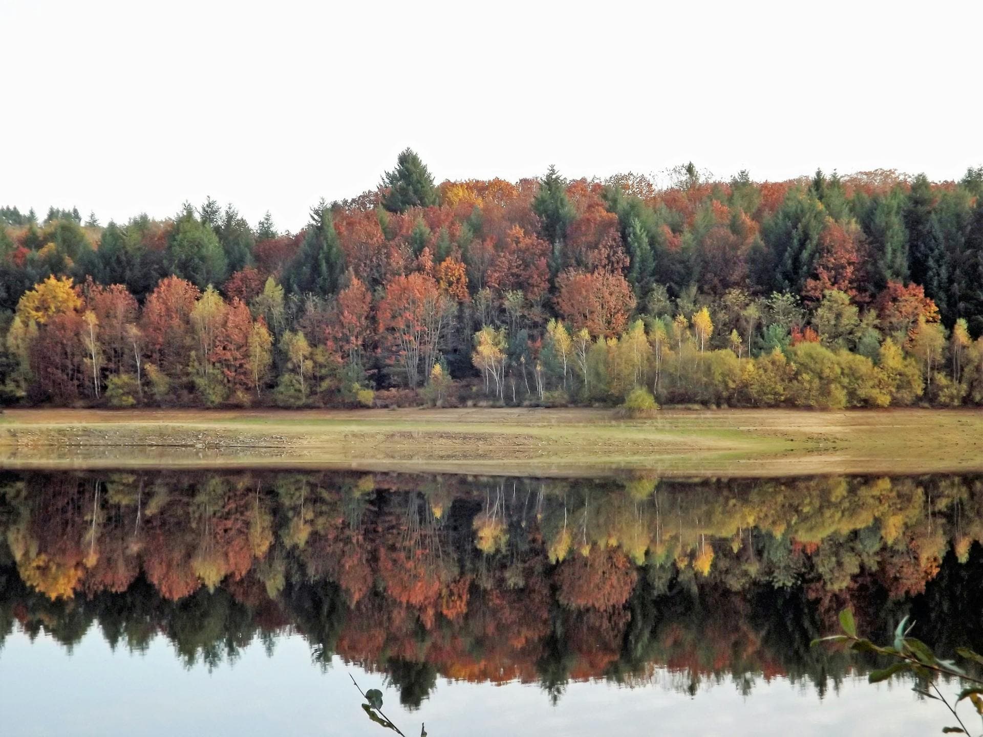 Recherche de fuite — BTPNE Champigny-sur-Marne