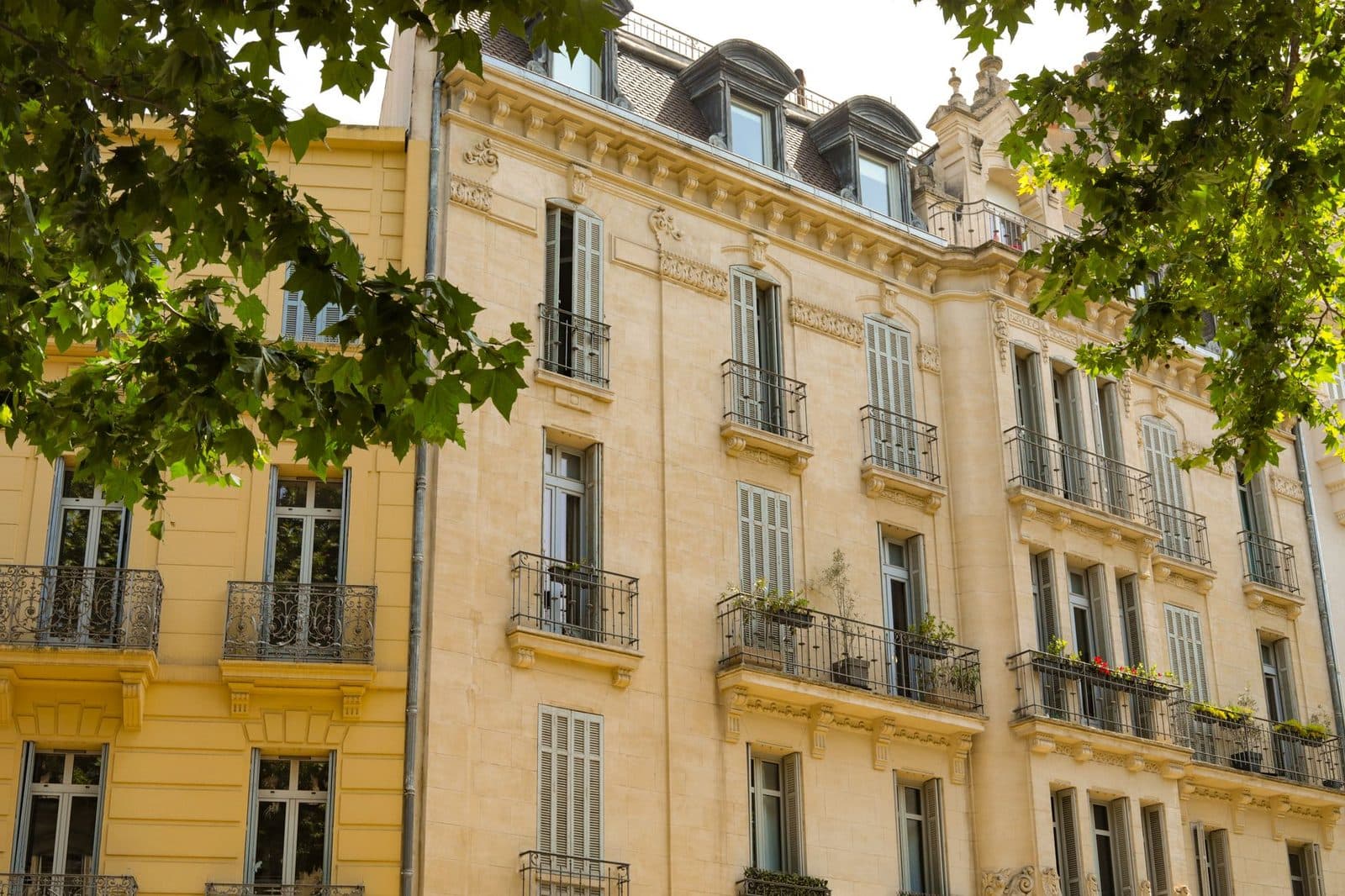 Façade d'immeubles haussmanniens en pierre claire avec balcons en fer forgé, vue à travers le feuillage d'un arbre