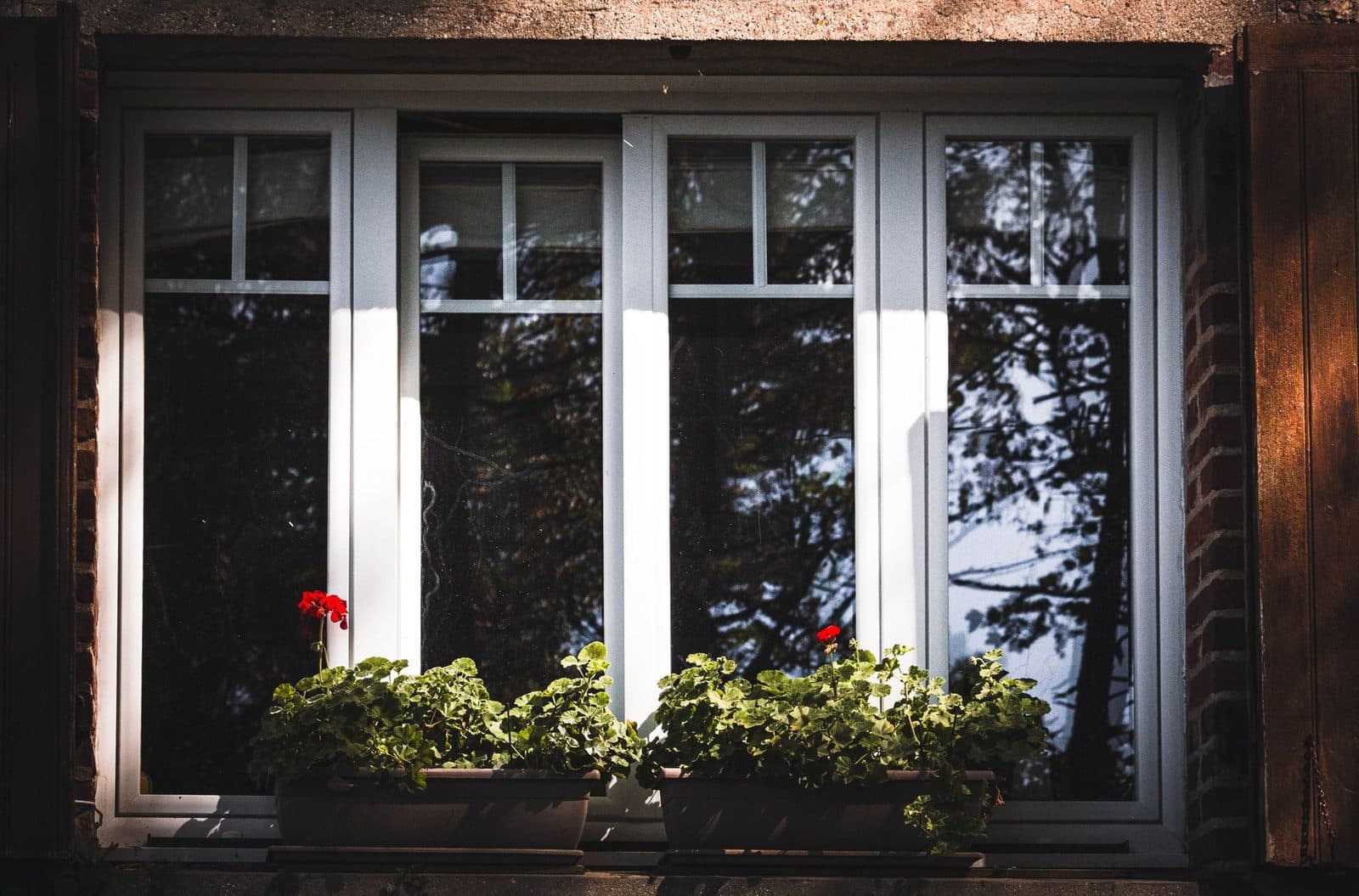 Fenêtre à double vitrage en PVC blanc sur une façade en brique, avec jardinière de géraniums rouges