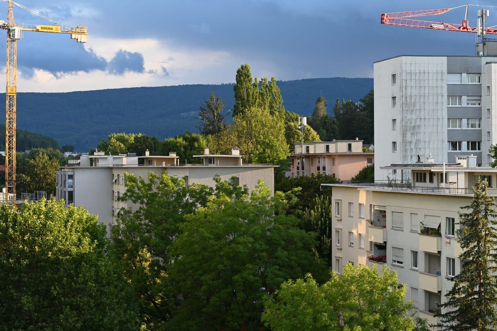 Grues de chantier au-dessus d'immeubles résidentiels entourés d'arbres, collines boisées à l'arrière-plan