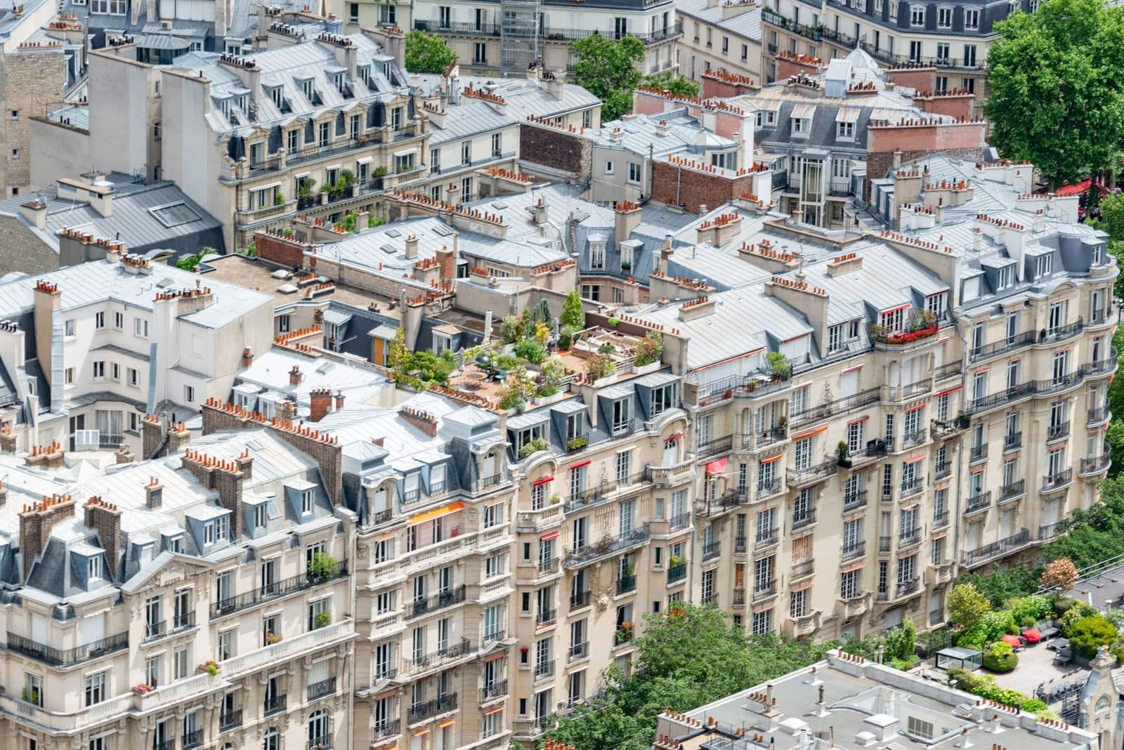 Vue aérienne d'immeubles haussanniens parisiens aux toits de zinc, balcons et terrasses végétalisées